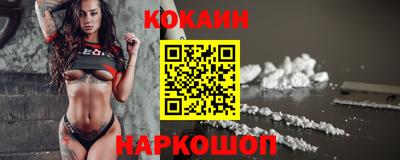 крисы Можга