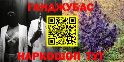 крисы Можга