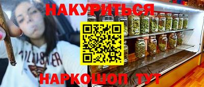 крисы Можга