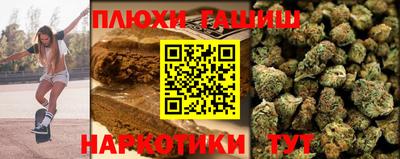 крисы Можга