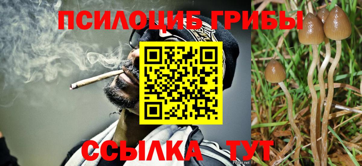 ГАШ Чистополь