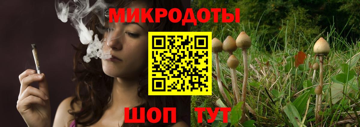 Галлюциногенные грибы MAGIC MUSHROOMS  Галлюциногенные грибы Magic Shrooms  купить наркоту  Вход с VPN  Чистополь 